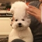 대표 사진