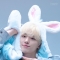 대표 사진