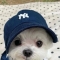 대표 사진