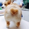 대표 사진