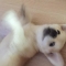 대표 사진