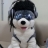 대표 사진