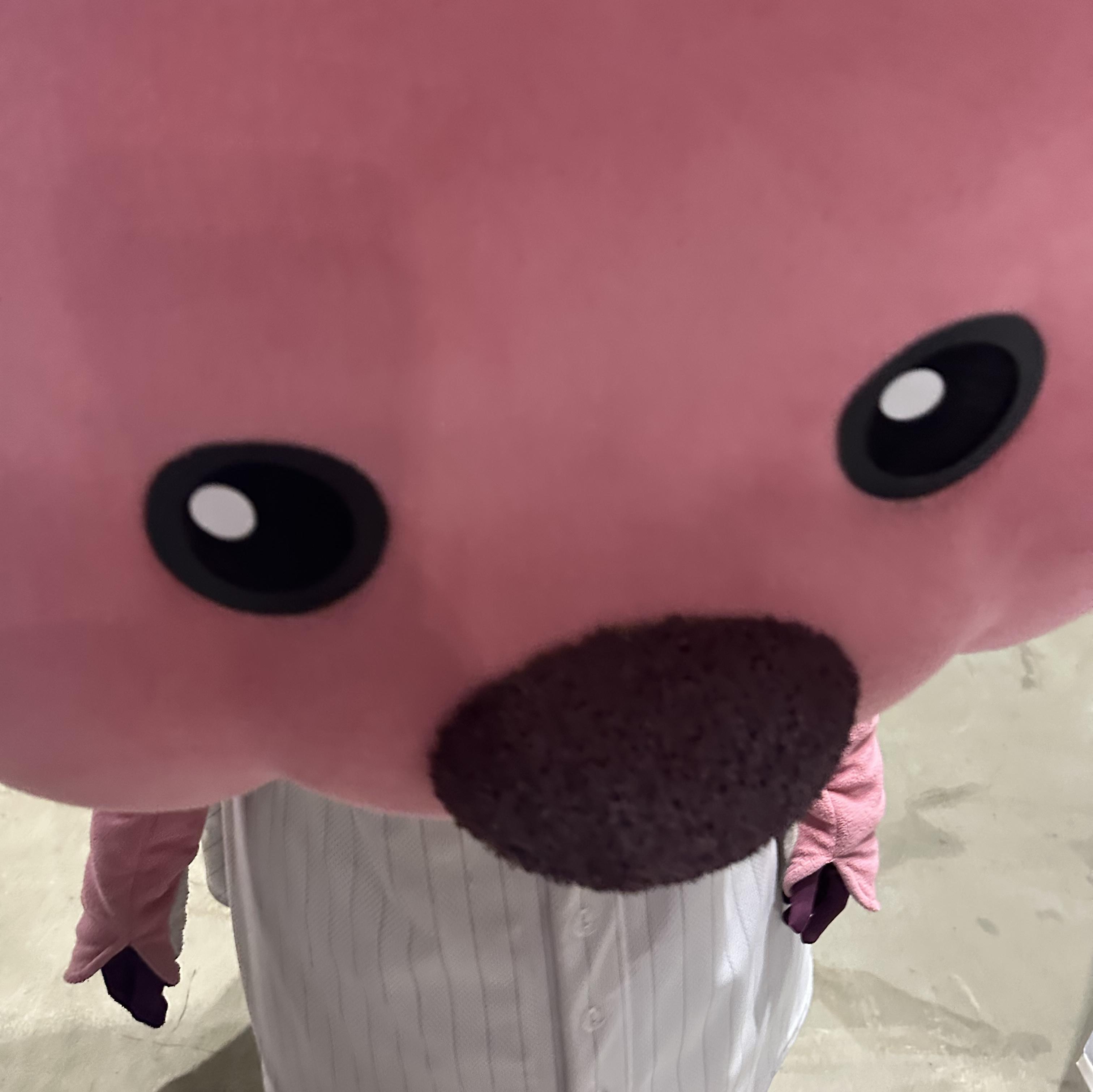 대표 사진