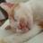 대표 사진