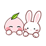 대표 사진