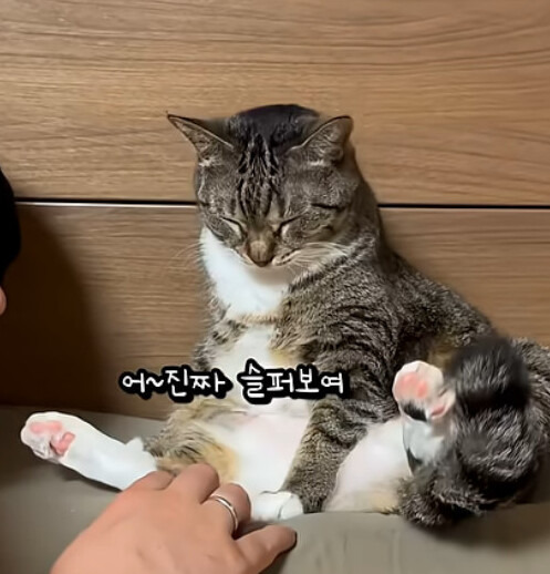 살빼라는 소리에 기분 안좋아진 춘봉이 | 인스티즈