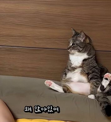 살빼라는 소리에 기분 안좋아진 춘봉이 | 인스티즈