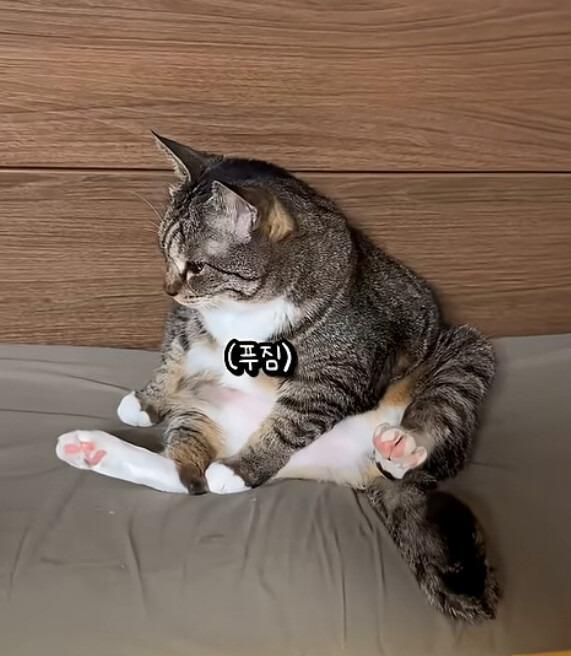 살빼라는 소리에 기분 안좋아진 춘봉이 | 인스티즈