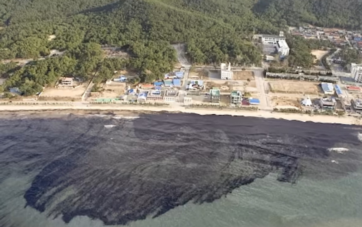 해외: 니네 이거복구하려면 최소20년이야. 유감. 한국인들: 머라고? 드가자!!!! | 인스티즈