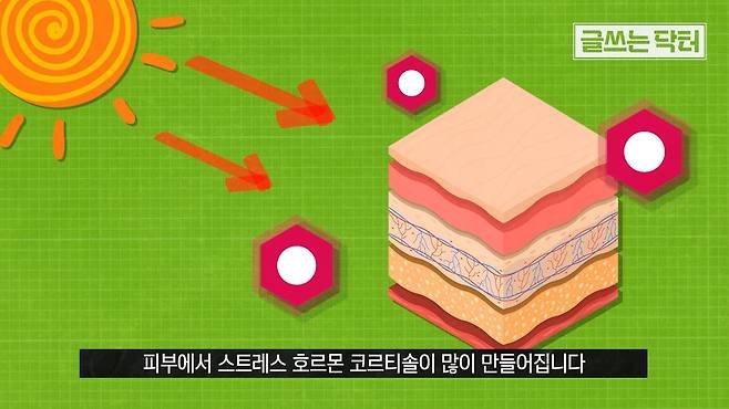 치매 막으려면 선크림·보습제 바르세요 | 인스티즈