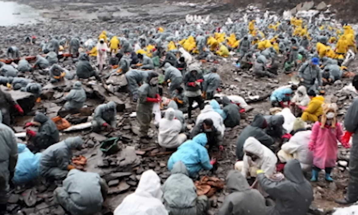 해외: 니네 이거복구하려면 최소20년이야. 유감. 한국인들: 머라고? 드가자!!!! | 인스티즈