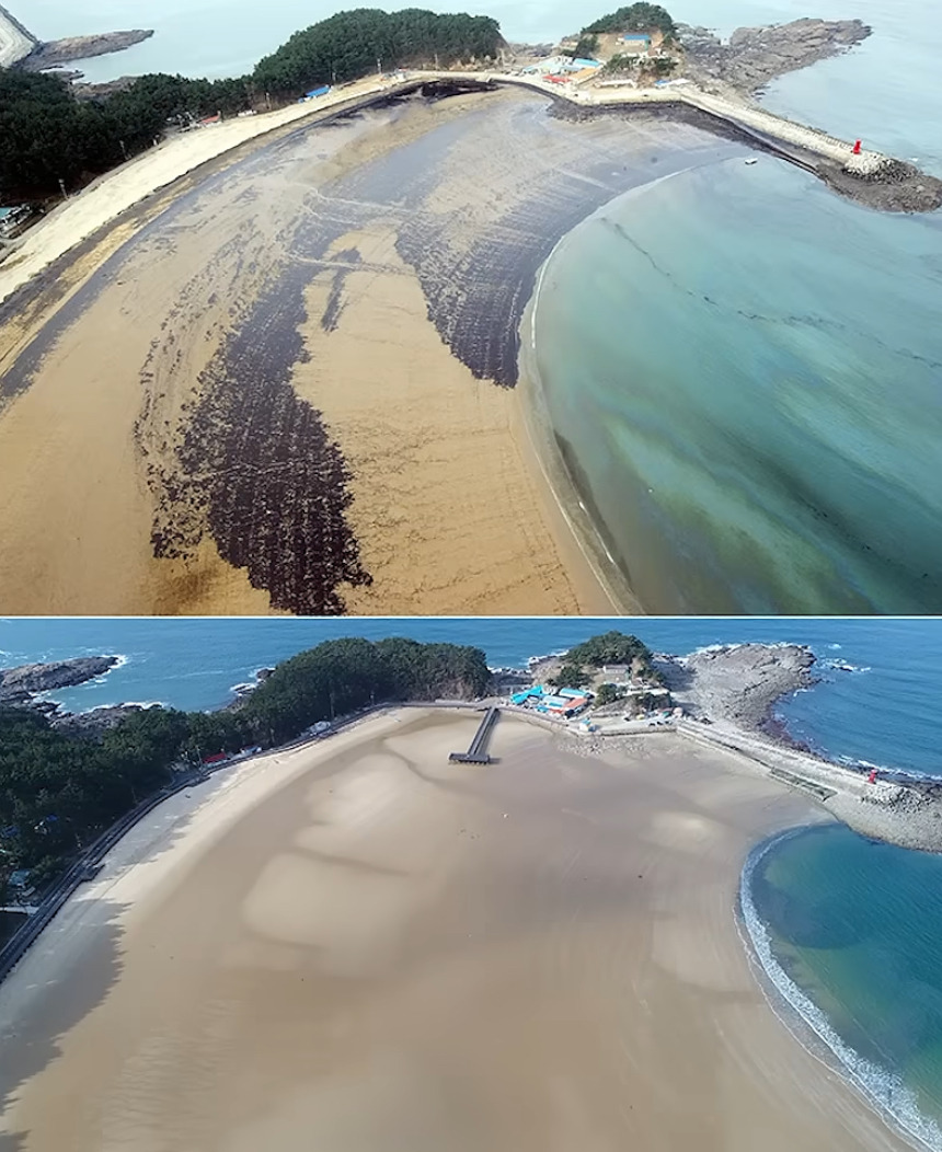 해외: 니네 이거복구하려면 최소20년이야. 유감. 한국인들: 머라고? 드가자!!!! | 인스티즈