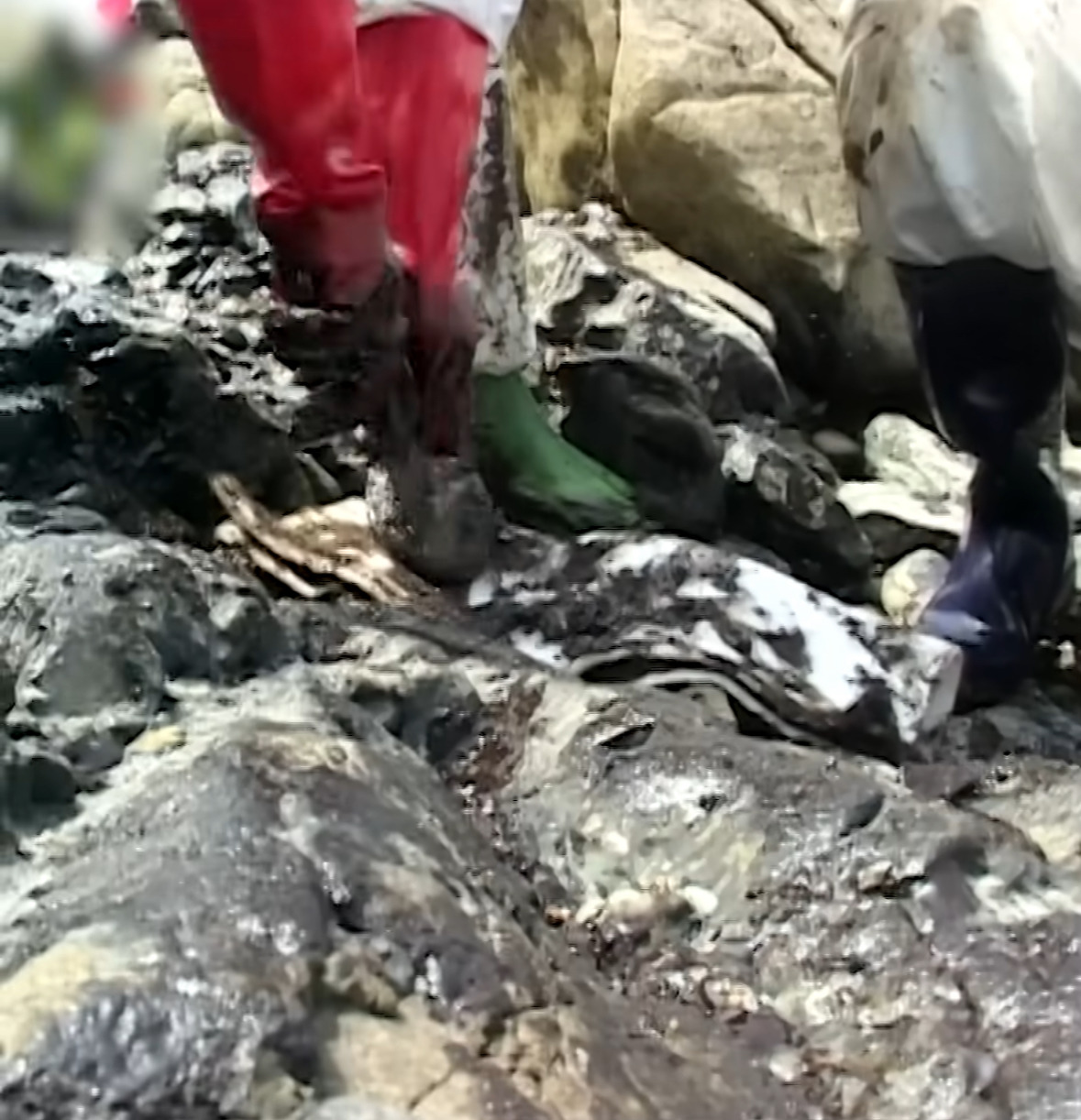 해외: 니네 이거복구하려면 최소20년이야. 유감. 한국인들: 머라고? 드가자!!!! | 인스티즈