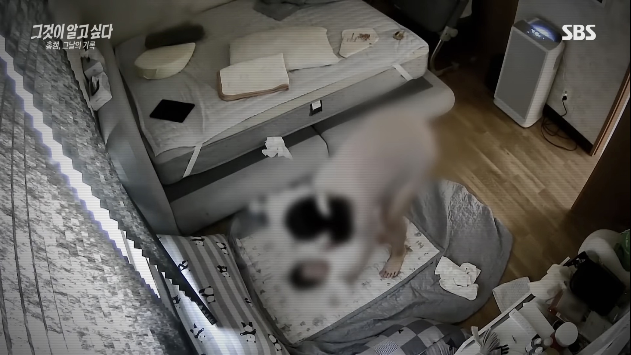 충격적인 내용의 최신 그알 | 인스티즈