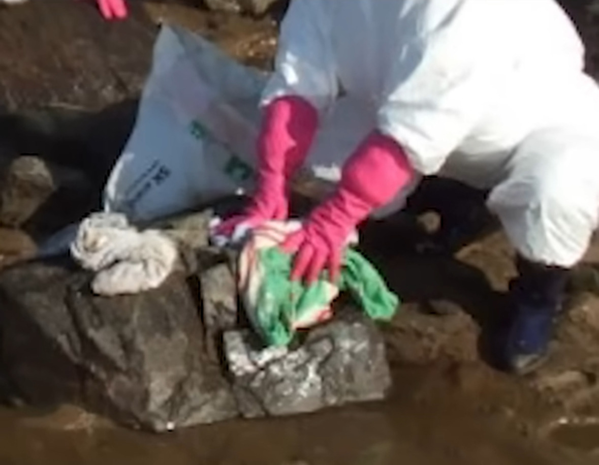 해외: 니네 이거복구하려면 최소20년이야. 유감. 한국인들: 머라고? 드가자!!!! | 인스티즈