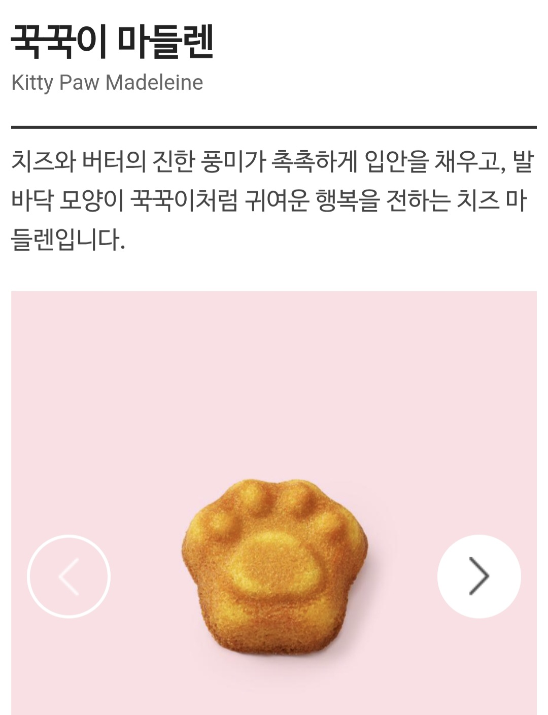 귀여움으로 승부하는 스타벅스 신상 꾹꾹이 마들렌 | 인스티즈