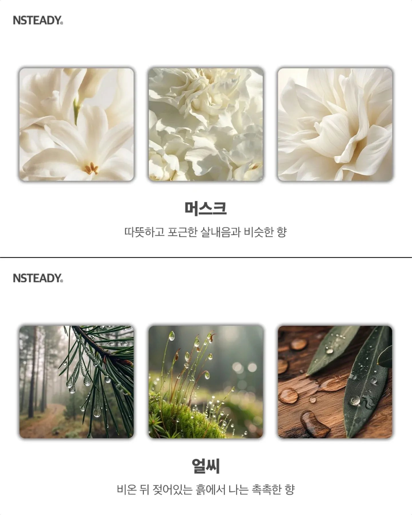 알아두면 유용한 향수 향 종류 모음 | 인스티즈