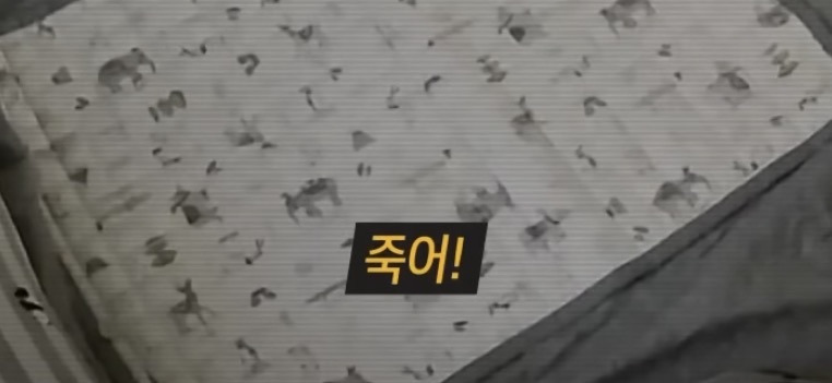 충격적인 내용의 최신 그알 | 인스티즈