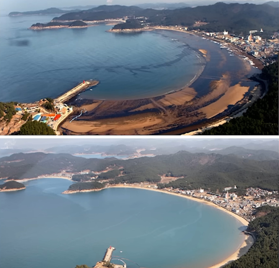 해외: 니네 이거복구하려면 최소20년이야. 유감. 한국인들: 머라고? 드가자!!!! | 인스티즈