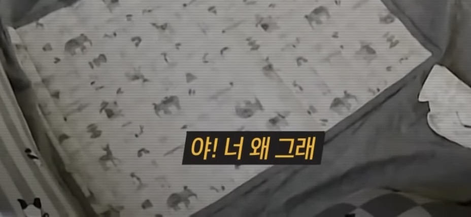 충격적인 내용의 최신 그알 | 인스티즈