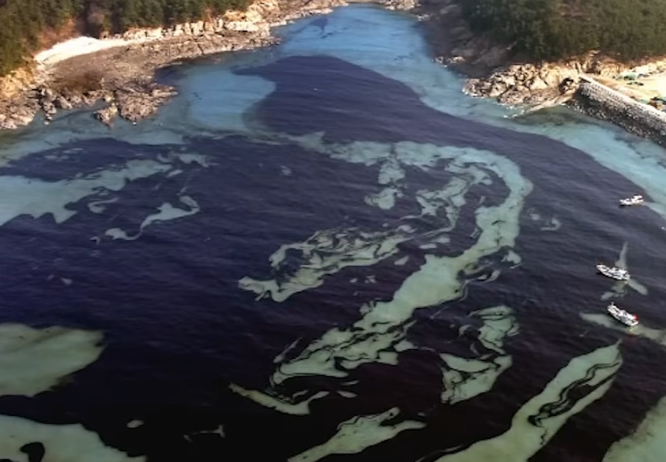 해외: 니네 이거복구하려면 최소20년이야. 유감. 한국인들: 머라고? 드가자!!!! | 인스티즈