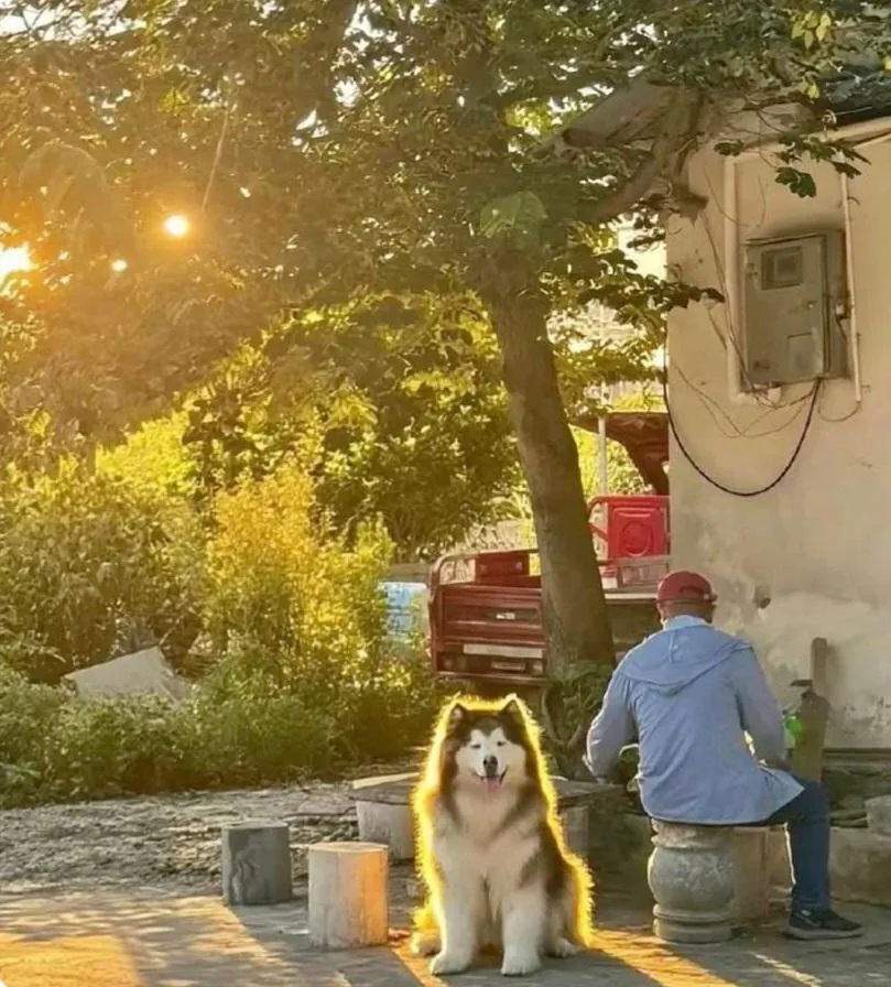 레딧서 핫한 사진 한장...jpg | 인스티즈