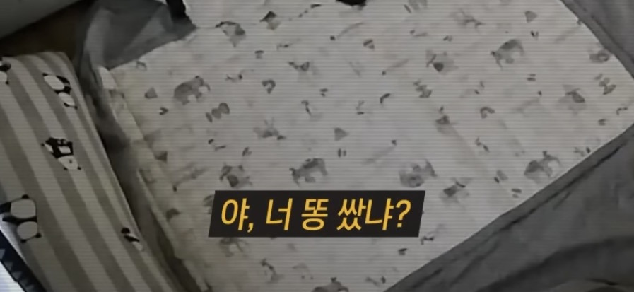 충격적인 내용의 최신 그알 | 인스티즈