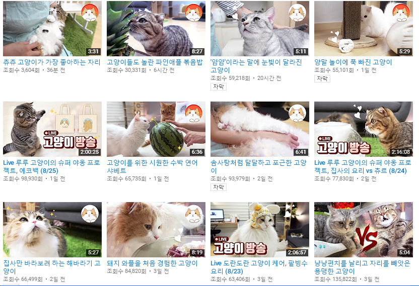 크림히어로즈 루루 총 정리 | 인스티즈