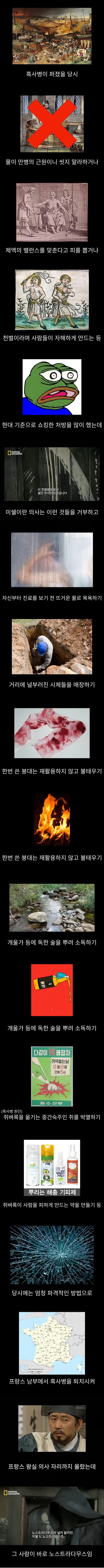 프랑스에서 흑사병을 퇴치시킨 전설의 의사.jpg | 인스티즈