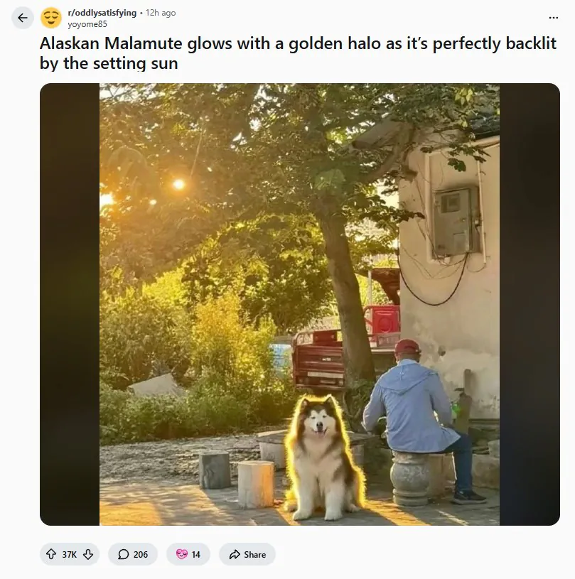 레딧서 핫한 사진 한장...jpg | 인스티즈