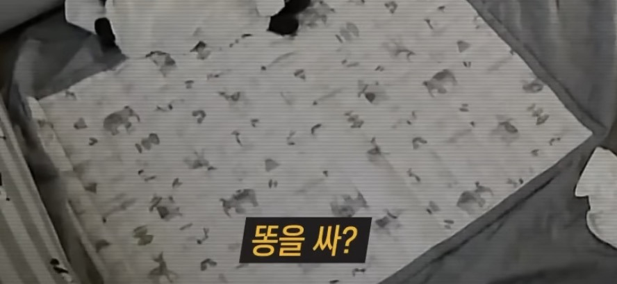 충격적인 내용의 최신 그알 | 인스티즈