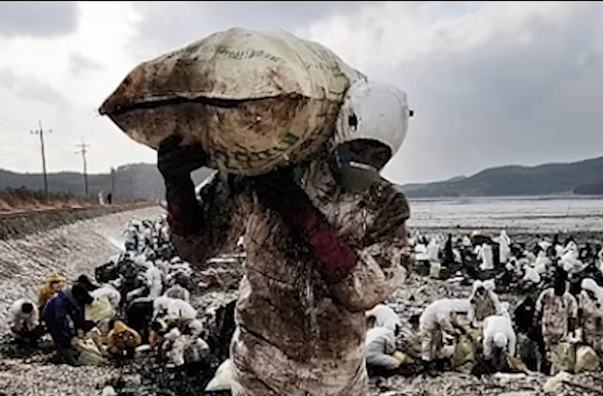 해외: 니네 이거복구하려면 최소20년이야. 유감. 한국인들: 머라고? 드가자!!!! | 인스티즈