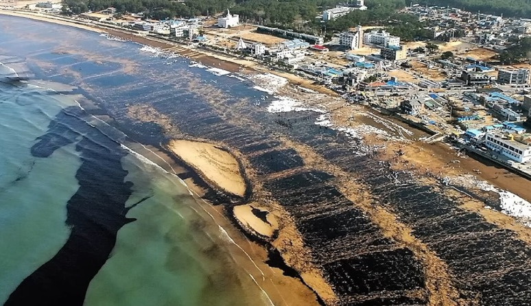 해외: 니네 이거복구하려면 최소20년이야. 유감. 한국인들: 머라고? 드가자!!!! | 인스티즈