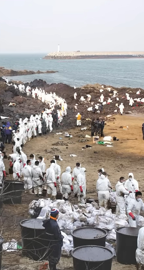 해외: 니네 이거복구하려면 최소20년이야. 유감. 한국인들: 머라고? 드가자!!!! | 인스티즈