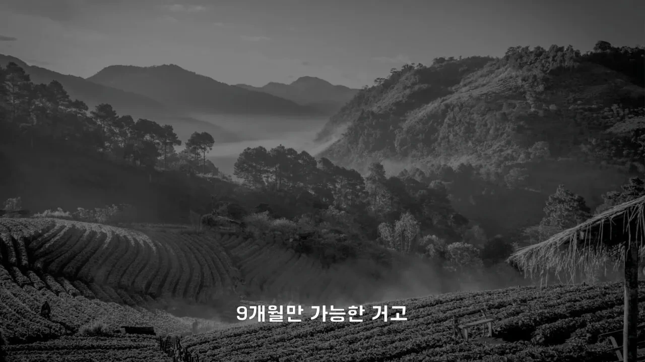 4년째 해외여행중인 유튜버가 뽑은 최악 여행지.JPG | 인스티즈