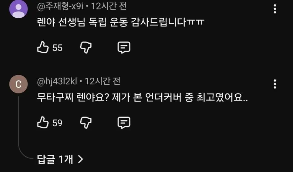 유튜브 구독294만 한국채널에서 일제 장군 찬양함 | 인스티즈