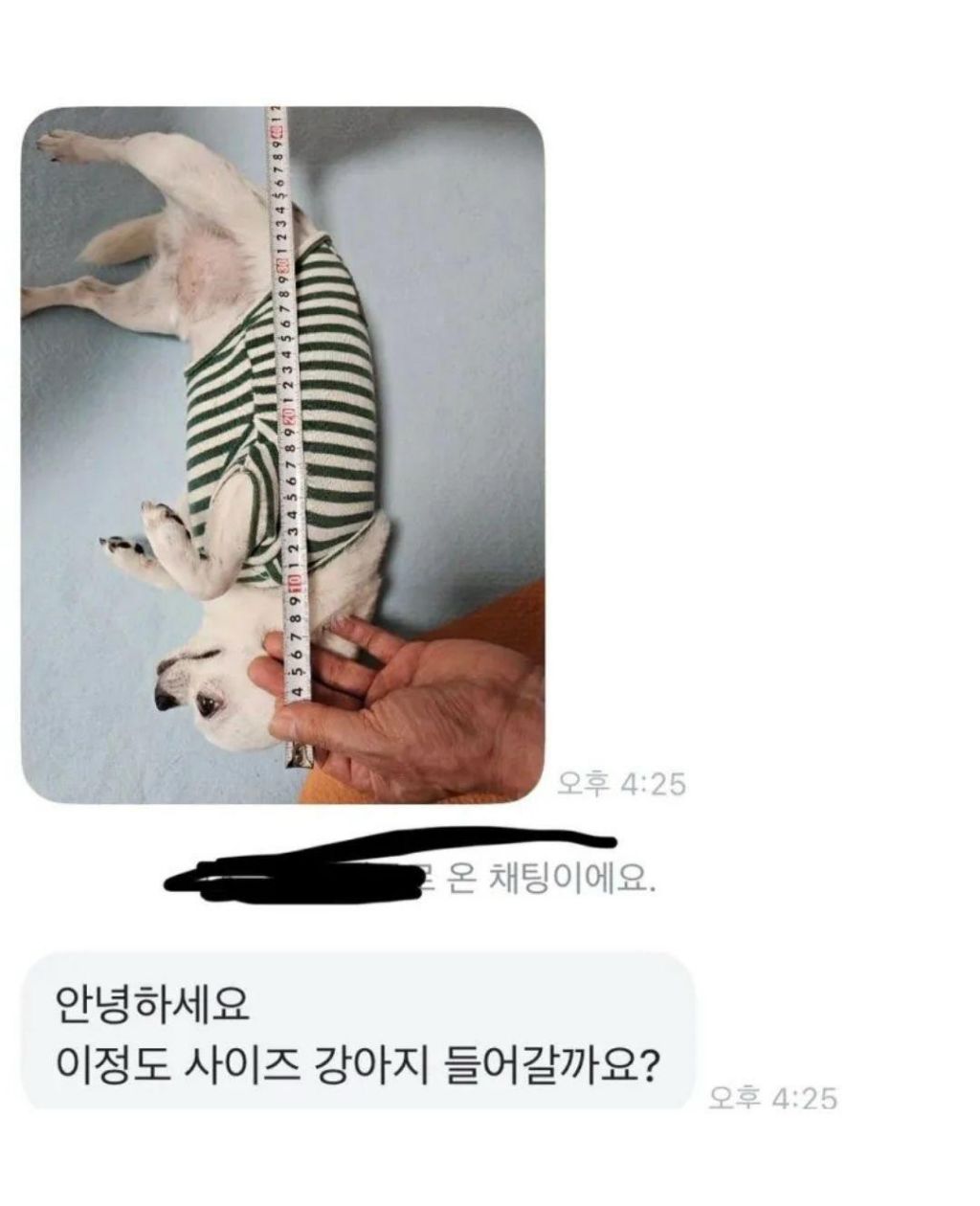 당근에 개집 올려놨더니 온 문의 | 인스티즈