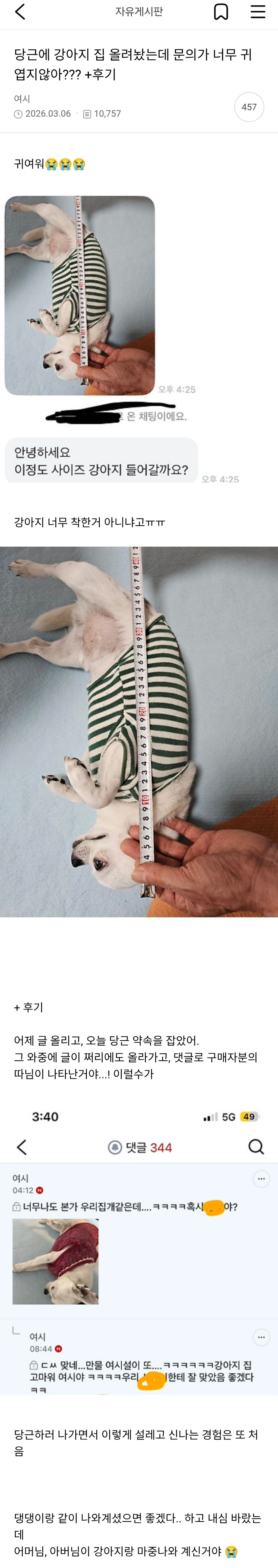 당근에 개집 올려놨더니 온 문의 | 인스티즈