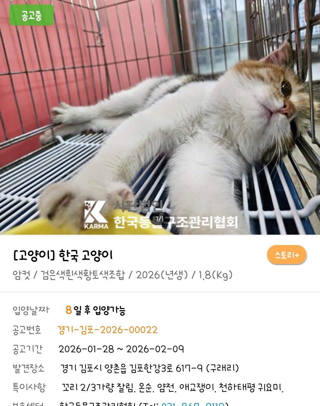 도무지 멱살잡고 놔주지를 않음(보호소 홍보) | 인스티즈