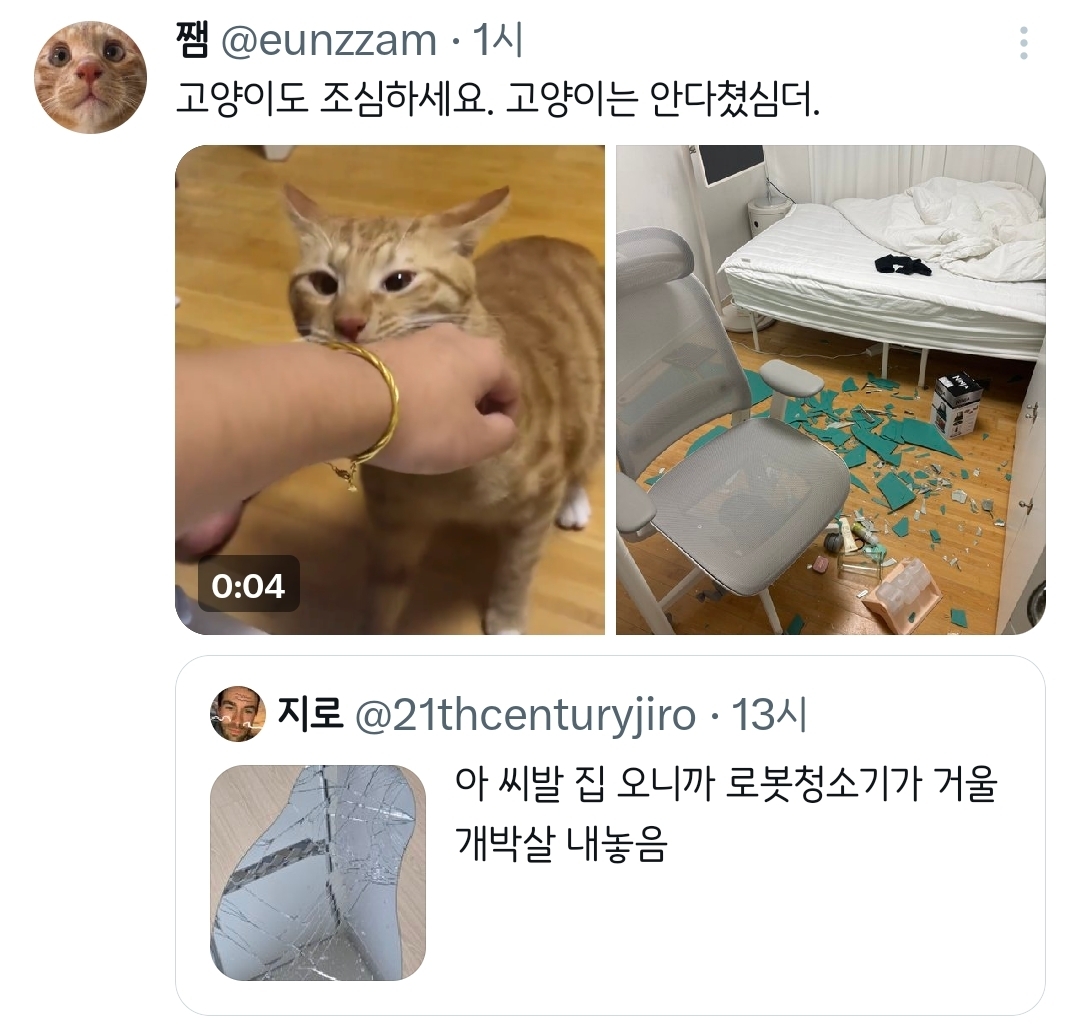 아 집 오니까 로봇청소기가 거울 개박살 내놓음.twt | 인스티즈