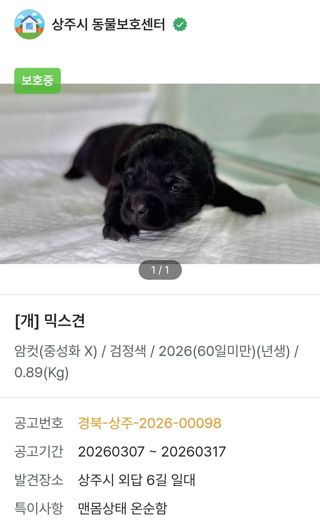 도무지 멱살잡고 놔주지를 않음(보호소 홍보) | 인스티즈