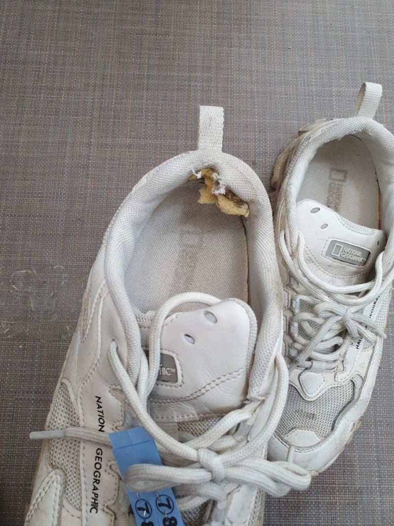 무슨 운동화 신어도 이렇게 되는 사람 꼭 있음.jpg | 인스티즈