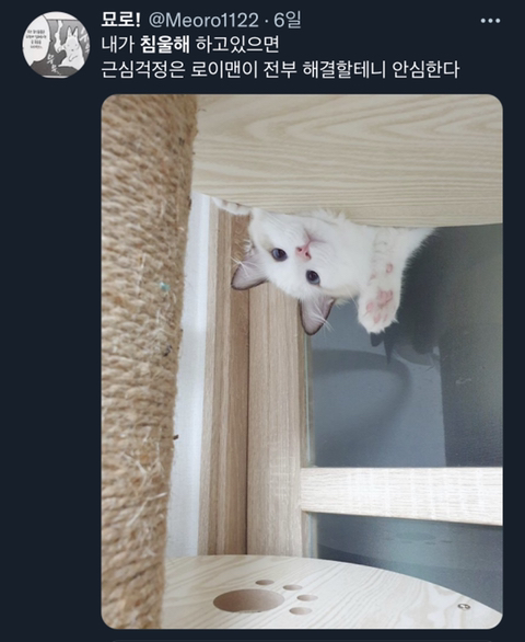 내가 침울해 하고 있으면 -가 -해준다 .twt | 인스티즈