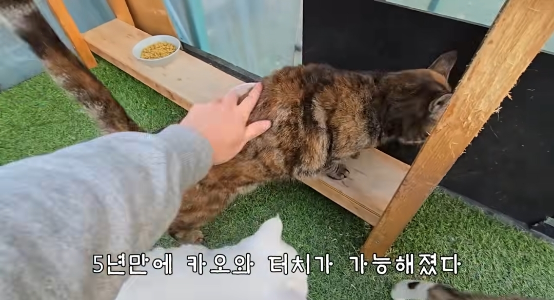 5년만에 haha ha에게 마음을 연 카오 | 인스티즈