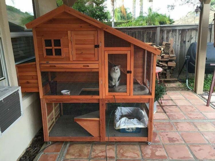 산책 없이 행복한 고양이를 위한 인테리어① - 고양이 정원 | 인스티즈