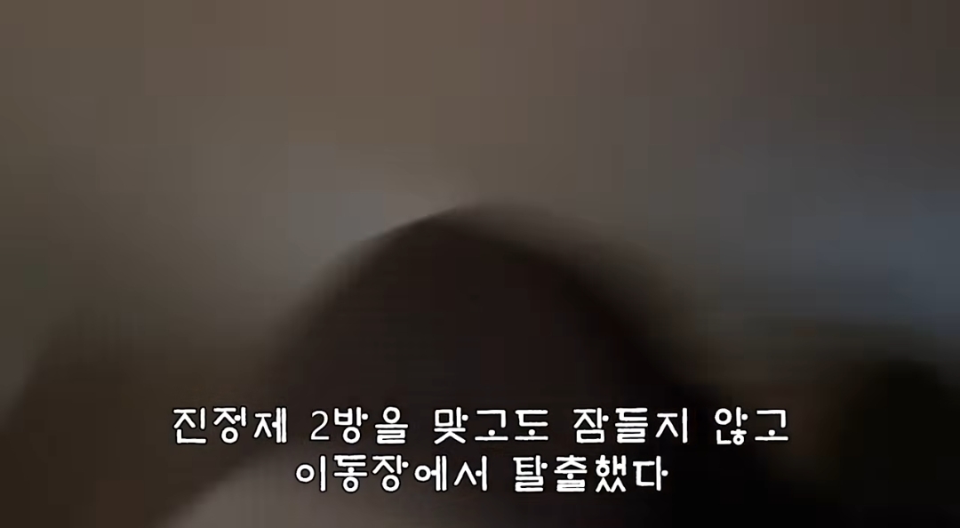 5년만에 haha ha에게 마음을 연 카오 | 인스티즈