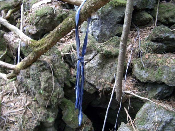 일본의 죽음의 숲 (일본 내 자살1위) 아오키가하라 사진. (시체 , 심약자, 비위약한사람들 보면안됨) | 인스티즈