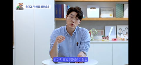 견주 초보일 수록 유기견이 좋은 이유 | 인스티즈