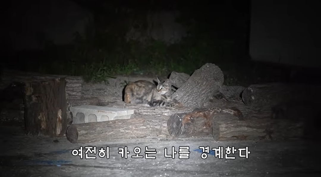 5년만에 haha ha에게 마음을 연 카오 | 인스티즈