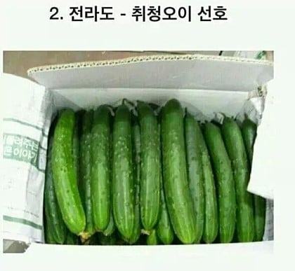 경상도 사람 : 오이로 자위를 어떻게해,,,,? | 인스티즈